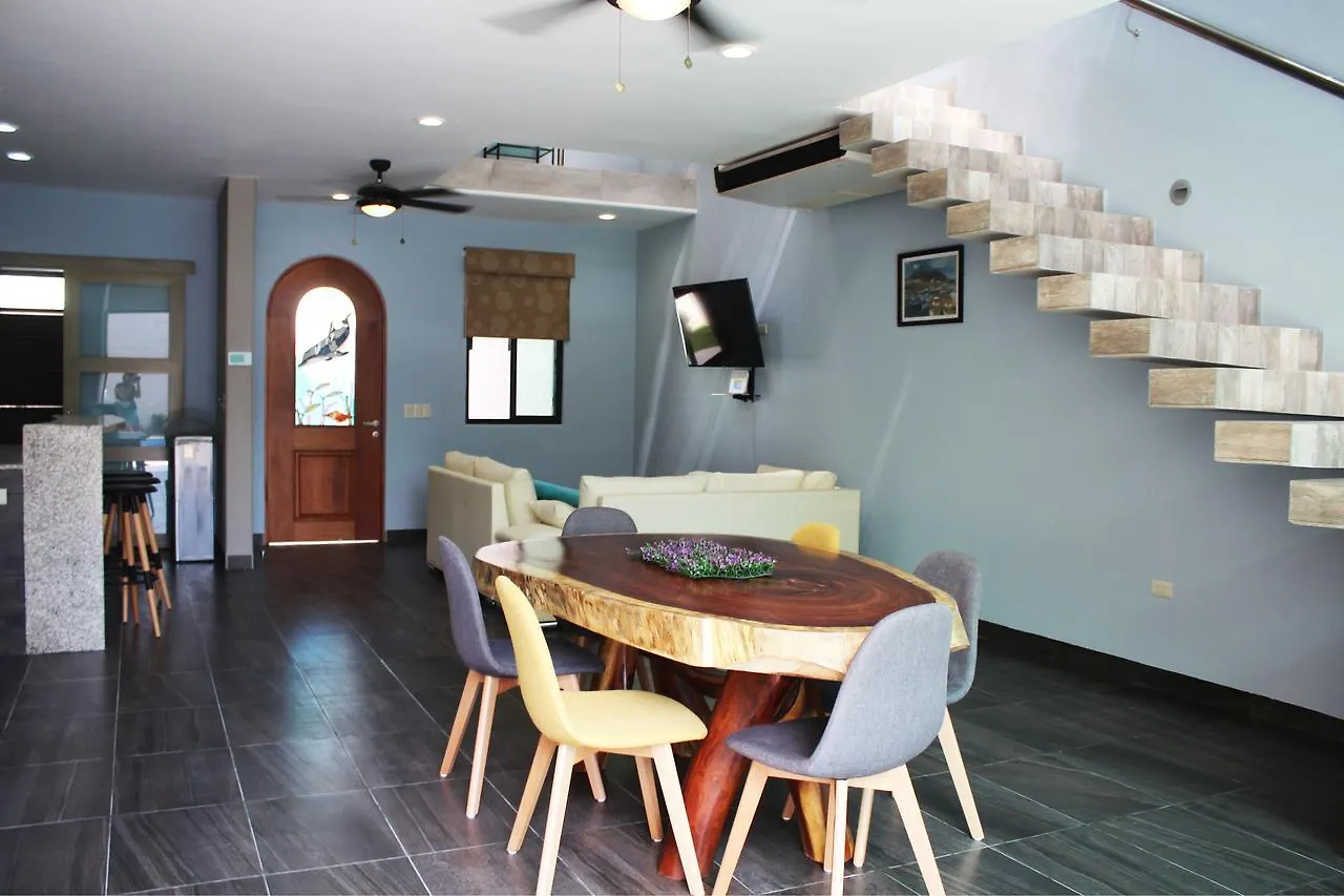 Triskel Delfin Hotel Cozumel